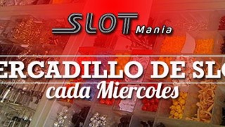 España : vii open ciudad de de astorga de rally en 1/32 organiza slot club astorga 14 y 15 de agosto